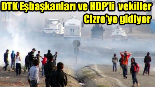 DTK Eşbaşkanları ve HDP'li vekiller Cizre'ye gidiyor