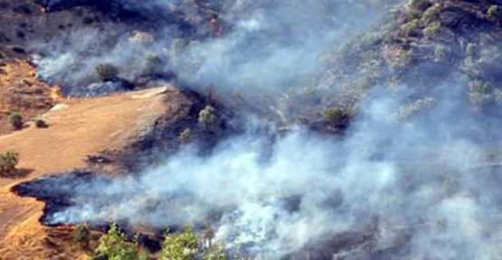 DTK: Yangınlar eko-sistemimizi bozuyor