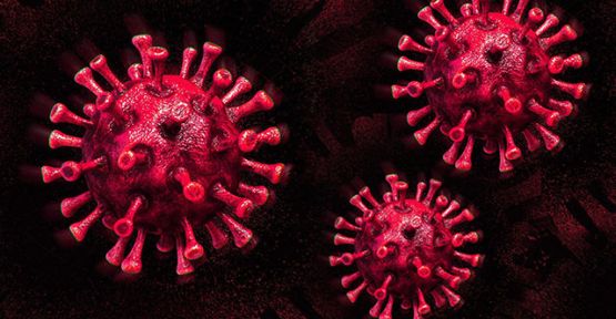 Dünya genelinde koronavirüs bilançosu: Can kaybı 773 bin 95’e yükseldi