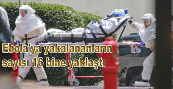 Ebola'ya yakalananların sayısı 16 bine yaklaştı