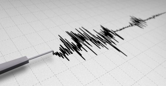 Ege Denizi'nde 8 dakika arayla 2 deprem oldu