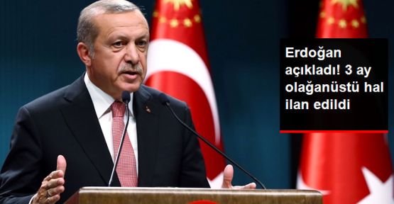 Erdoğan: 3 ay süreyle OHAL ilan edildi