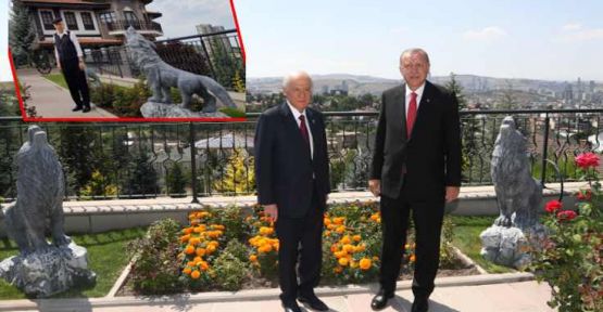 Erdoğan Bahçeli'ye fotoğraf için gitmiş