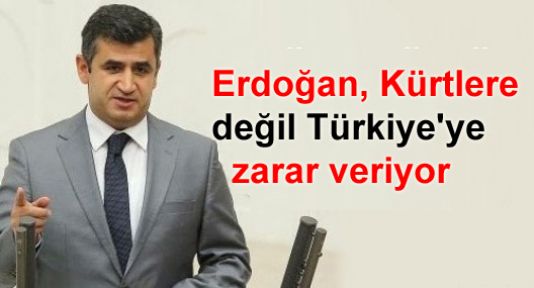 Zozani: 'Erdoğan, Kürtlere değil Türkiye'ye zarar veriyor'