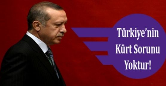 Erdoğan: 'Türkiye'nin Kürt sorunu artık yoktur'