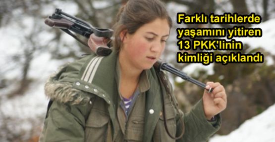 Yaşamını yitiren 5'i Hakkarili 13 PKK'linin kimliği açıklandı