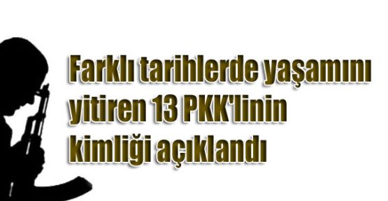 Yaşamını yitiren 13 PKK'linin kimliği açıklandı