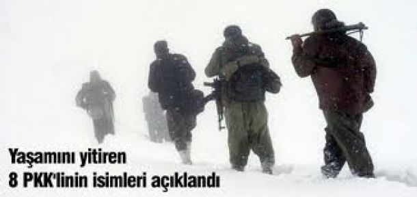 Yaşamını yitiren 8 PKK'linin kimliği açıklandı