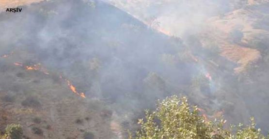 Gabar Dağı'nda askerin top atışıyla yangın çıktı