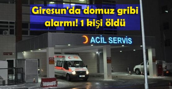Giresun'da domuz gribi alarmı! 1 kişi öldü
