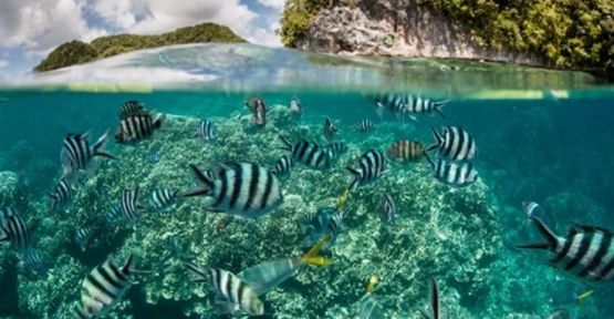 Güneş kremine ilk yasak