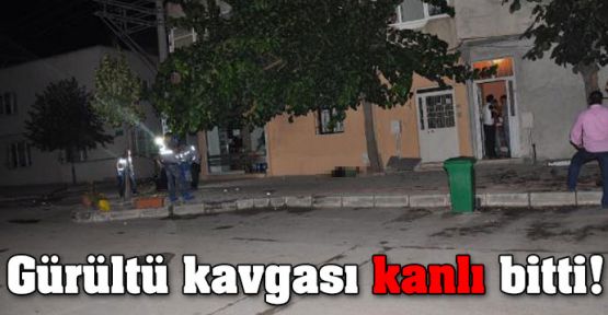 Gürültü kavgası kanlı bitti! 2 ölü