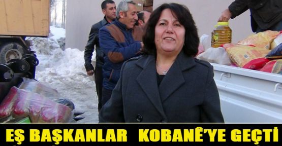 Hakkari Belediyeleri Eş Başkanları Kobani'ye geçti
