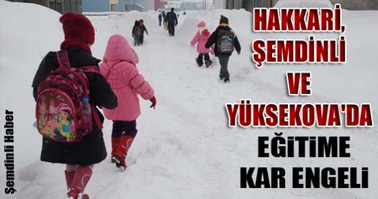 Hakkari, Şemdinli ve Yüksekova'da eğitime kar engeli