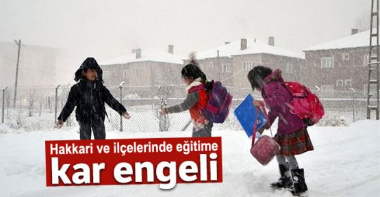 Hakkari ve ilçelerinde eğitime kar engeli