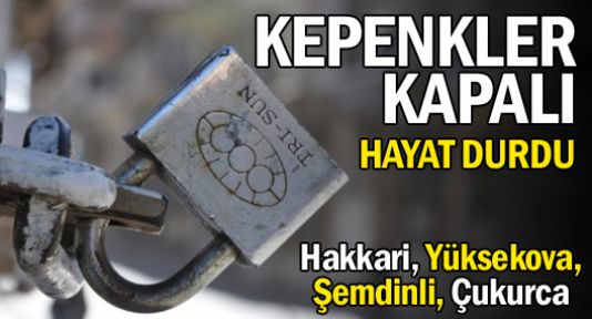 Hakkari ve ilçelerinde kepenk kapatma eylemi sürüyor