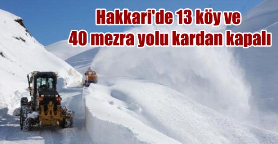 Hakkari'de 13 köy ve 40 mezra yolu kardan kapalı