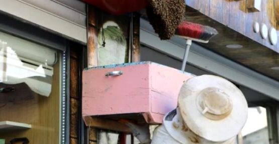 Hakkari'de iş yerinin tabelasına konan arılar esnafa zor anlar yaşattı