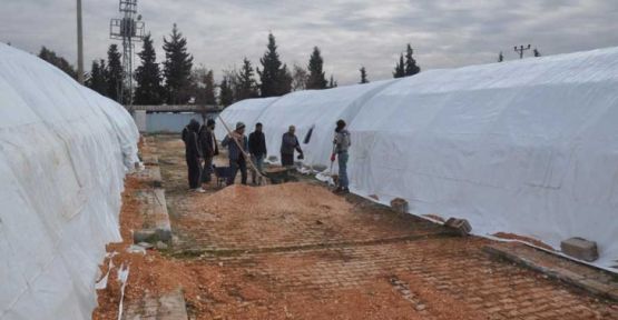 Halep’ten gelenler için Türkiye'de de kamp kuruluyor