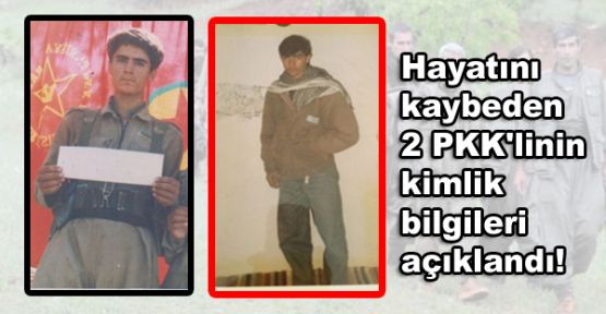 Hayatını kaybeden 2 PKK'linin kimlik bilgileri açıklandı