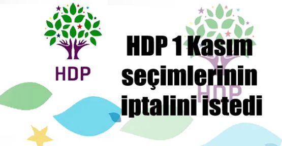 HDP 1 Kasım seçimlerinin iptalini istedi