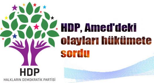 HDP, Amed'deki olayları hükümete sordu