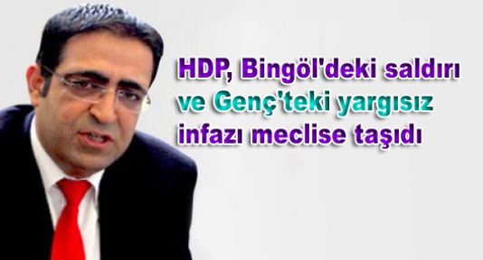 HDP, Bingöl'deki saldırı ve Genç'teki yargısız infazı meclise taşıdı