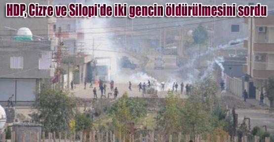 HDP, Cizre ve Silopi'de iki gencin öldürülmesini sordu
