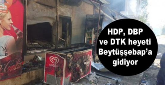 HDP, DBP ve DTK heyeti Beytüşşebap'a gidiyor