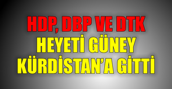 HDP, DBP ve DTK heyeti Federe Kürdistan'a gitti