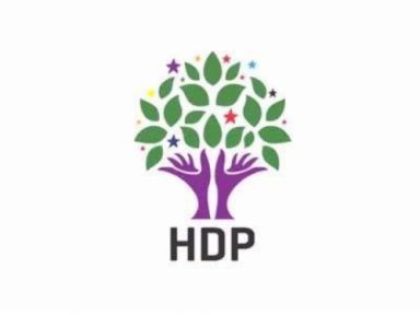 HDP Edirne eş başkan adayına saldırı