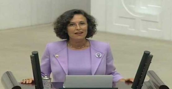 HDP göçmen kadınları ve kadın cinayetlerini sordu