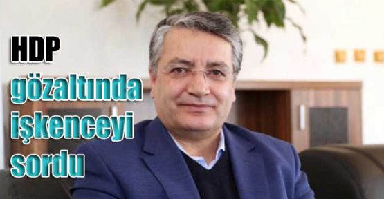 HDP gözaltında işkenceyi sordu