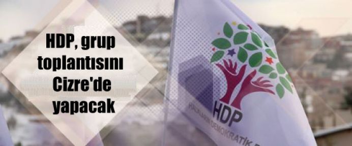 HDP, grup toplantısını Cizre'de yapacak