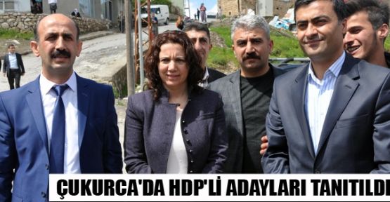 HDP Hakkari adaylarına Çukurca'da coşkulu karşılama