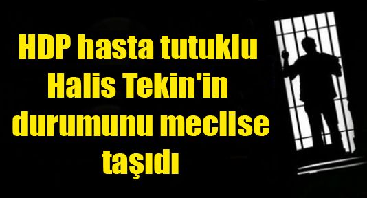 HDP hasta tutuklu Halis Tekin'in durumunu meclise taşıdı