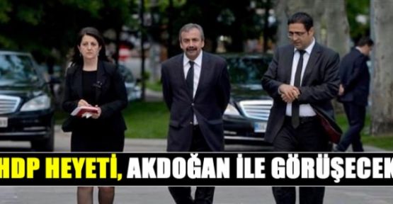 HDP Heyeti, Akdoğan ile görüşecek