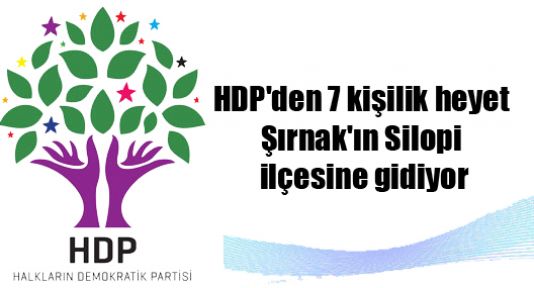 HDP heyeti Şırnak'ın Silopi ilçesine gidiyor
