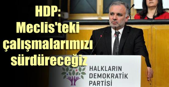 HDP: Meclis'teki çalışmalarımızı sürdüreceğiz