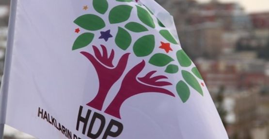 HDP Milletvekili Demirel ve Zeydan'a hapis cezası