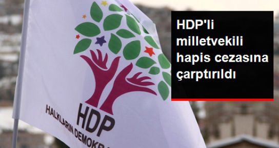 HDP milletvekili Mahmut Toğrul'a hapis cezası