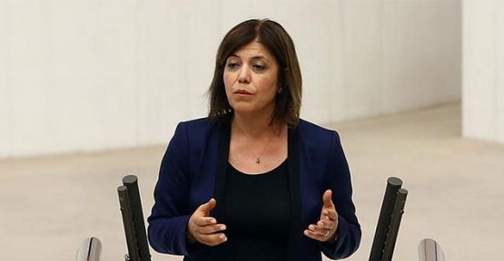 HDP pasaport iptallerini Meclis'e taşıdı