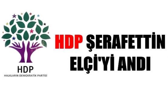 HDP Şerafettin Elçi'yi andı