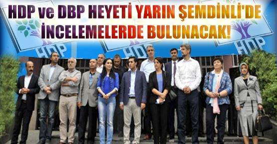 HDP ve DBP heyeti yarın Şemdinli'de incelemelerde bulunacak