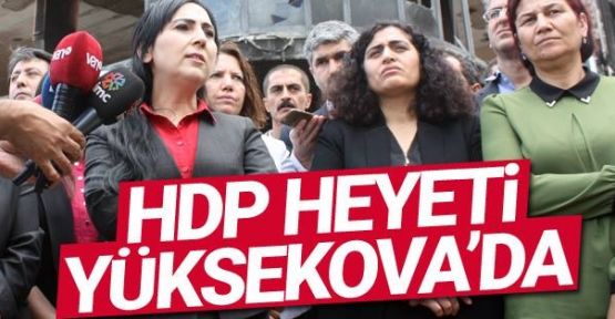 HDP ve DBP heyeti Yüksekova'da incelemelerde bulundu