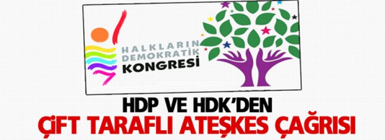 HDP ve HDK'den çift taraflı ateşkes çağrısı