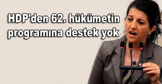 HDP'den 62. hükümetin programına destek yok