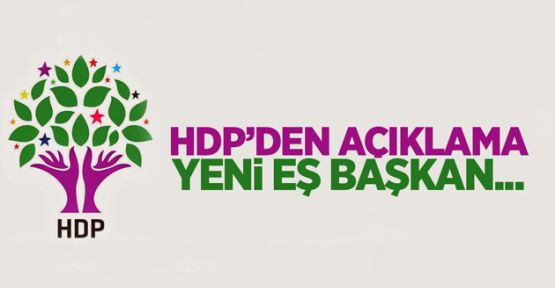 HDP'den açıklama: Eşbaşkan iki ay önce 'vekaleten' seçildi