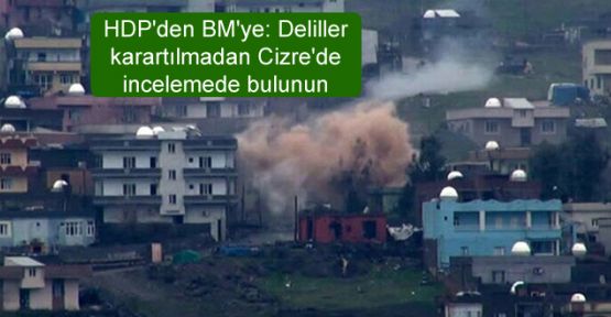 HDP'den BM'ye: Deliller karartılmadan Cizre'de incelemede bulunun
