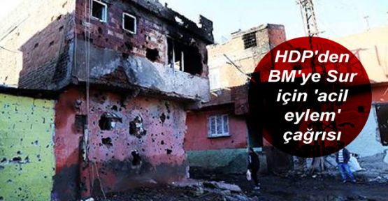 HDP'den BM'ye Sur için 'acil eylem' çağrısı